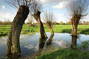 BUITEN BEELD Foto: 53691