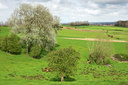 BUITEN BEELD Foto: 53693