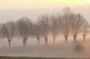 BUITEN BEELD Foto: 53696