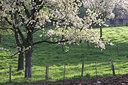 BUITEN BEELD Foto: 53738