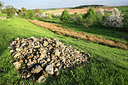 BUITEN BEELD Foto: 53764