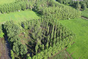 BUITEN BEELD Foto: 53773