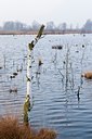 BUITEN BEELD Foto: 53779