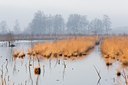 BUITEN BEELD Foto: 53786