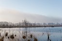 BUITEN BEELD Foto: 53789