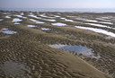 BUITEN BEELD Foto: 53797