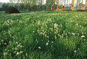 BUITEN BEELD Foto: 53815