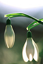 BUITEN BEELD Foto: 53825