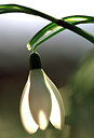 BUITEN BEELD Foto: 53838