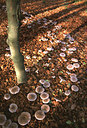 BUITEN BEELD Foto: 53849