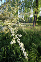 BUITEN BEELD Foto: 53867