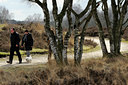 BUITEN BEELD Foto: 53874