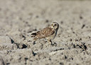 BUITEN BEELD Foto: 53893