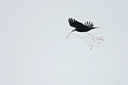 BUITEN BEELD Foto: 53924