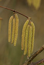 BUITEN BEELD Foto: 54024
