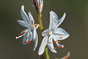 BUITEN BEELD Foto: 54070