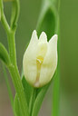 BUITEN BEELD Foto: 54073