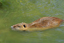BUITEN BEELD Foto: 54089