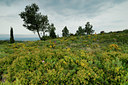 BUITEN BEELD Foto: 54093