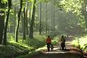 BUITEN BEELD Foto: 54109