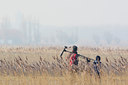 BUITEN BEELD Foto: 54153
