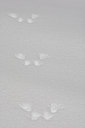 BUITEN BEELD Foto: 54159