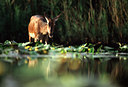 BUITEN BEELD Foto: 54161