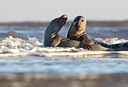 BUITEN BEELD Foto: 54176