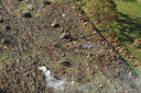 BUITEN BEELD Foto: 54183