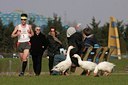 BUITEN BEELD Foto: 54201