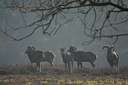 BUITEN BEELD Foto: 54206