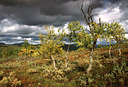 BUITEN BEELD Foto: 54273