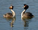 BUITEN BEELD Foto: 54294