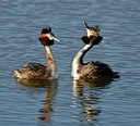 BUITEN BEELD Foto: 54295