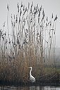 BUITEN BEELD Foto: 54311