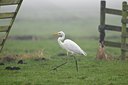 BUITEN BEELD Foto: 54321