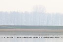 BUITEN BEELD Foto: 54325