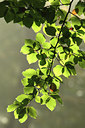 BUITEN BEELD Foto: 54330