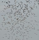 BUITEN BEELD Foto: 54333