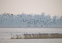 BUITEN BEELD Foto: 54340