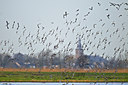 BUITEN BEELD Foto: 54351