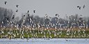 BUITEN BEELD Foto: 54353