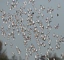BUITEN BEELD Foto: 54356