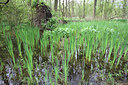 BUITEN BEELD Foto: 54361