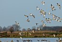 BUITEN BEELD Foto: 54364