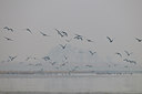 BUITEN BEELD Foto: 54407