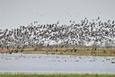 BUITEN BEELD Foto: 54413