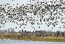 BUITEN BEELD Foto: 54415