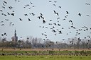 BUITEN BEELD Foto: 54425