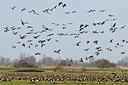 BUITEN BEELD Foto: 54427